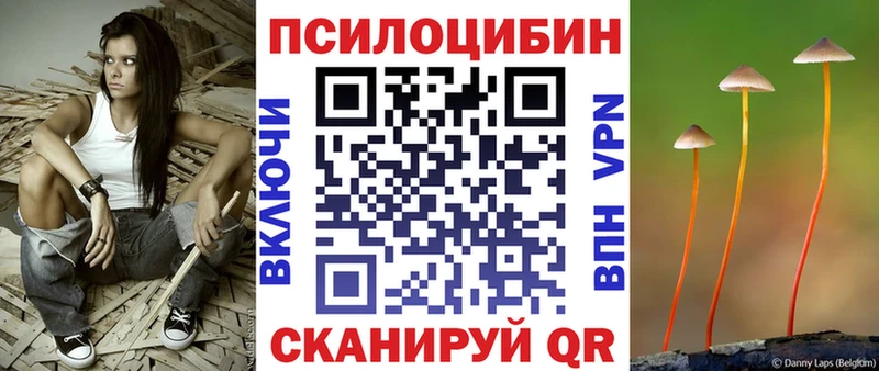 Псилоцибиновые грибы Psilocybine cubensis  закладки  Казань 